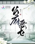 公府小说