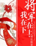 将军在上,我在下