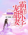 盛婚蜜爱:霸宠鲜甜小妻子