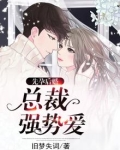 先孕后婚,总裁强势爱