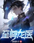 至尊龙医叶辰免费阅读小说