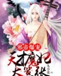 邪皇的天才狂妃