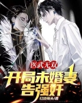 医武双绝小说全集