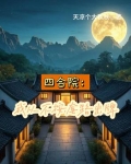 四合院我决不再当傻柱