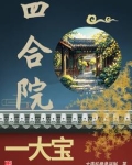 四合院一大宝儿 大唐妖僧是逆贼