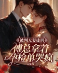被判无妻徒刑,傅总拿着孕检单哭疯了免费阅读