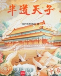 半道天子小说好看吗知乎