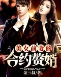 美女前妻的合约赘婿小说