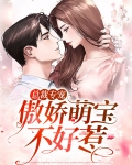 总裁傲娇宠妻