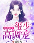 娇妻在上季少请轻撩