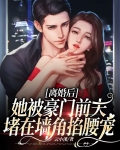 离婚后豪门前夫跪求我复婚