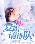 许先生,复婚请排队小说
