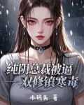 纯阳双修小说