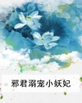 邪君宠溺小妖妃 免费