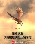 伏地魔一直在霍格沃茨