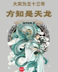大宋为王十三年,方知是天龙 幽燕倦客
