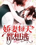 娇妻想离婚