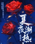 夏夜潮热小说最新章节内容介绍