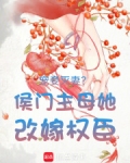 宠妾灭妻?侯门主母她改嫁权臣了