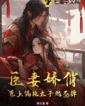 A臣宠妻