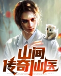 都市之仙医传奇