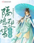 隔墙梨雪又玲珑是慢热文么