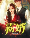 霸婿崛起全文阅读免费