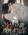 总裁生了