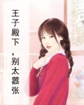 王子殿下小说