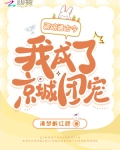 瓷碗通古今我成了京城团宠