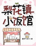 梨花镇小饭馆笔趣阁