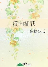 反向捕获