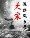 谍战风云录大宋txt
