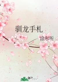 驯龙手札gltxt