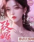 随军 小说