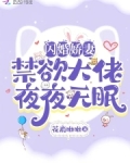 闪婚七零:随军养崽暴富了短剧免费观看