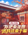 四合院之我是秦淮茹的小说