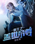 小说盖世帝尊