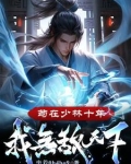苟在少林寺杂役签到的小说