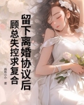 顾念一纸离婚协议书