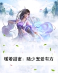 暖婚之陆少宠上瘾