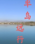 半岛远行小说