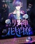 快穿:百变男神花样撩!