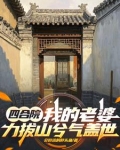 我的四合院电视剧