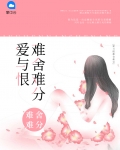 爱恨难取舍是什么歌