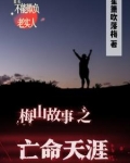 梅山故事亡命天涯全文免费