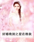 好婚晚来 小说
