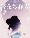 侦婚之警花妙探妻子小说