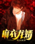 麻衣龙婿全部人物介绍