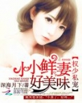 权少爆宠小小妻